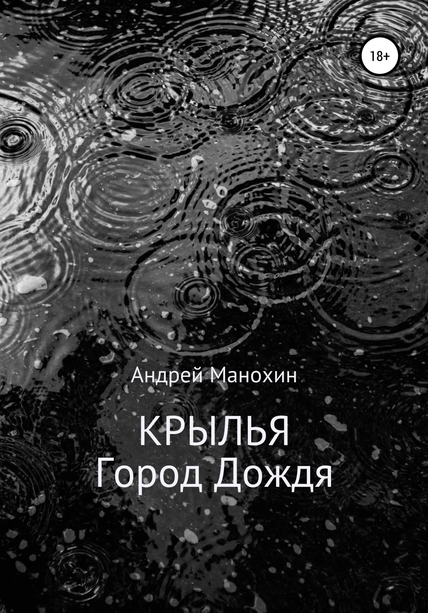 Обложка Крылья. Город Дождя