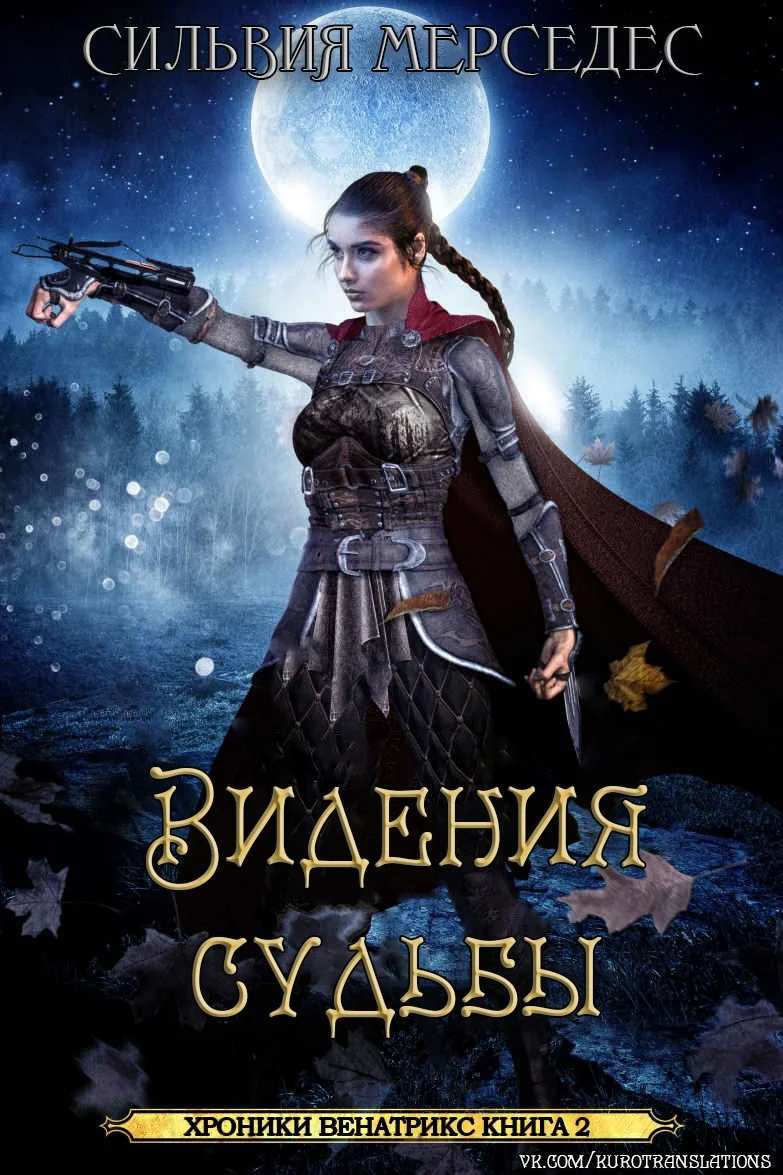 Обложка Видения судьбы