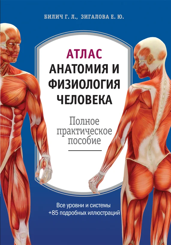 Обложка Атлас: анатомия и физиология человека. Полное практическое пособие