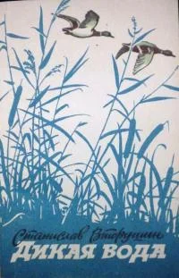 Обложка Дикая вода