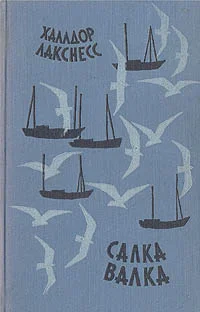 Обложка Салка Валка