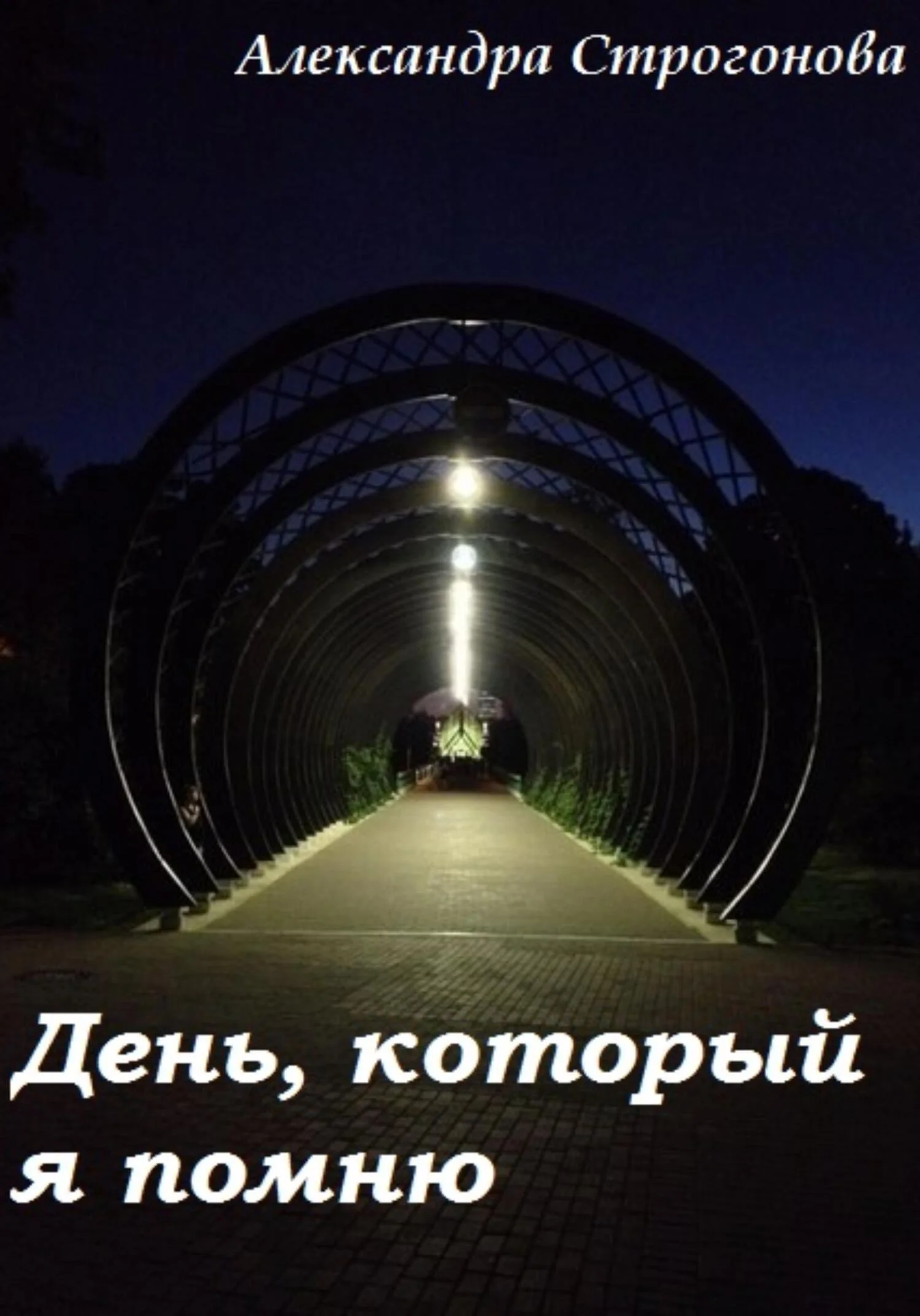 Обложка День, который я помню