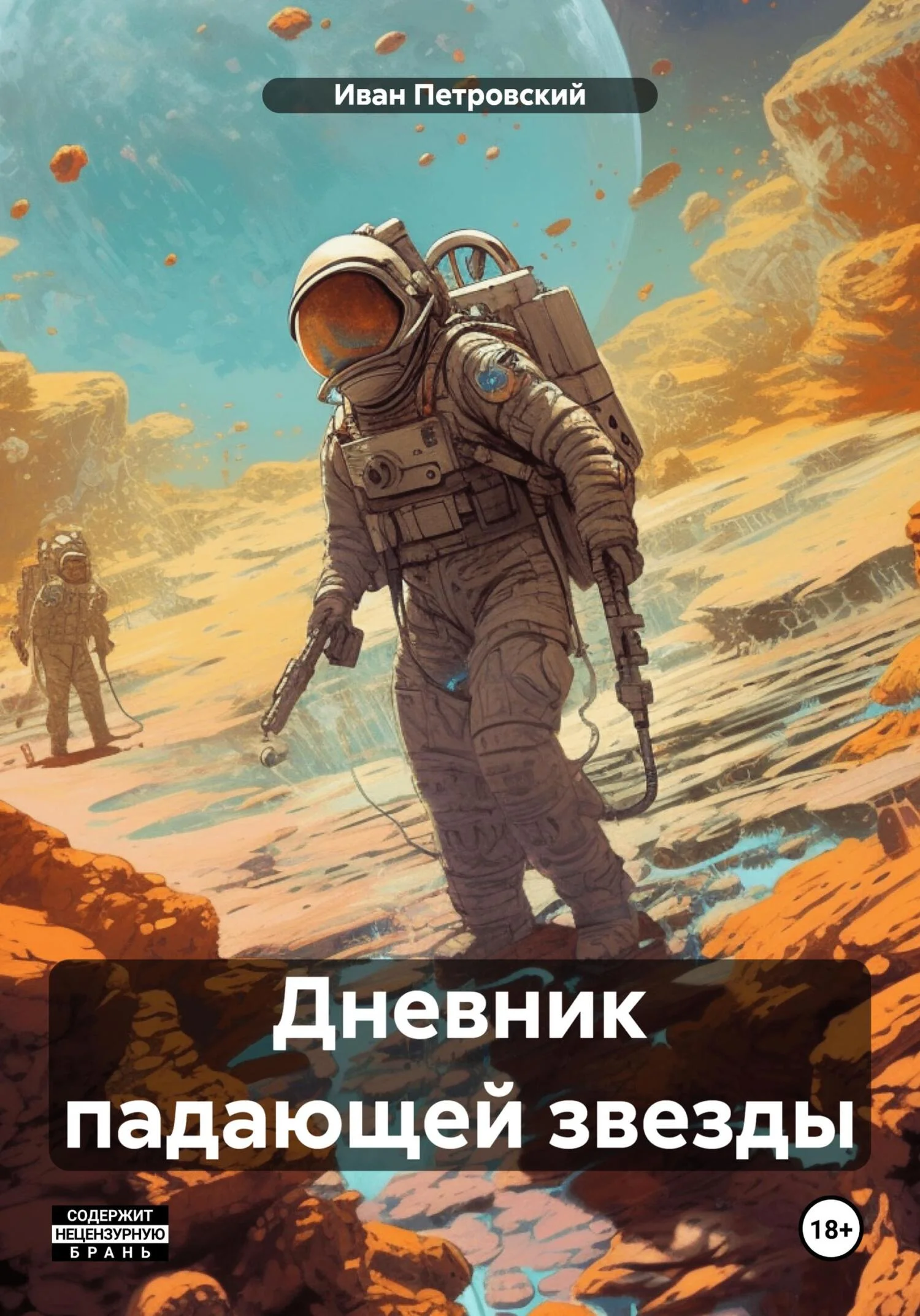 Обложка Дневник падающей звезды