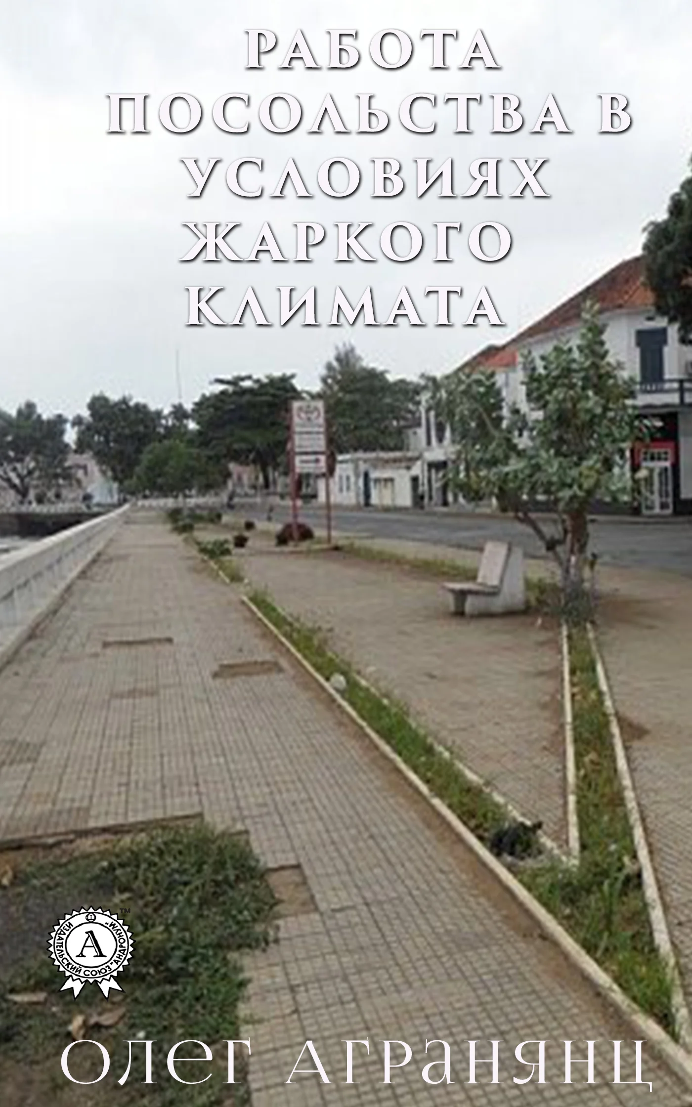 Обложка Работа посольства в условиях жаркого климата