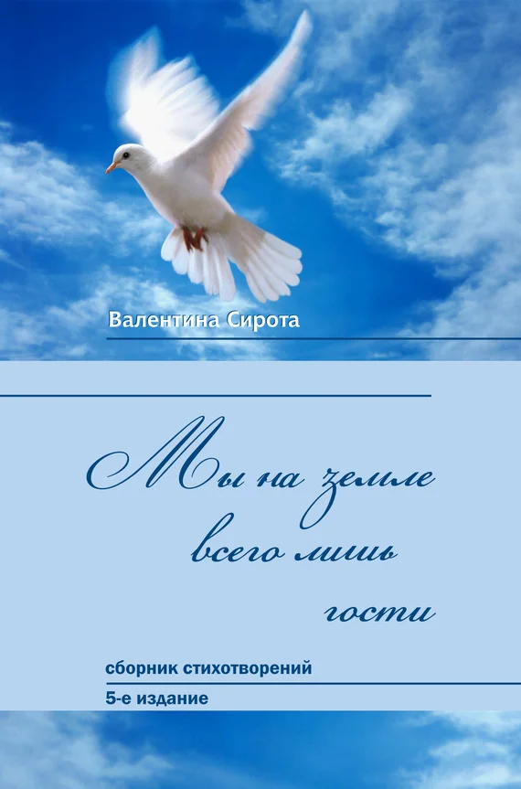Обложка Мы на земле всего лишь гости… (сборник)