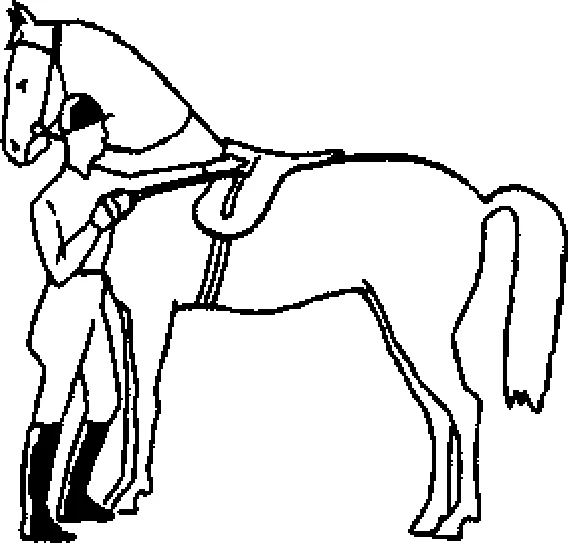 Обложка Как правильно ездить верхом