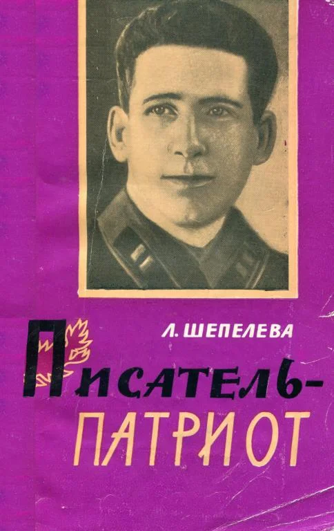 Обложка Писатель-патриот