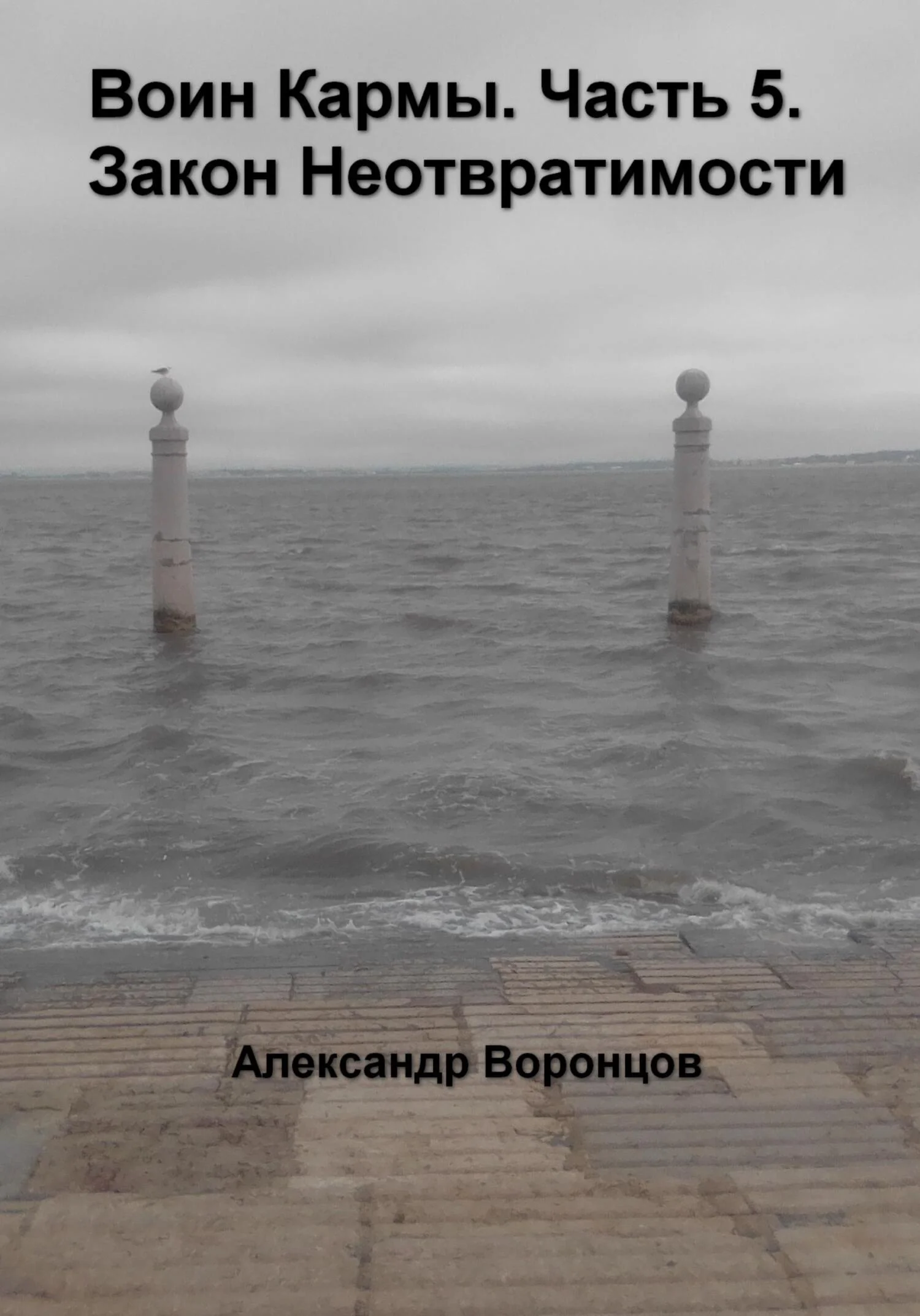 Обложка Воин Кармы. Часть 5. Закон Неотвратимости