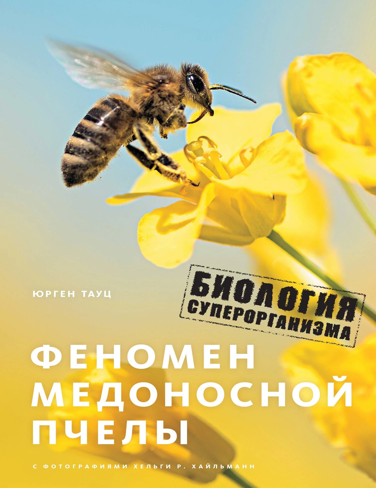 Обложка Феномен медоносной пчелы. Биология суперорганизма