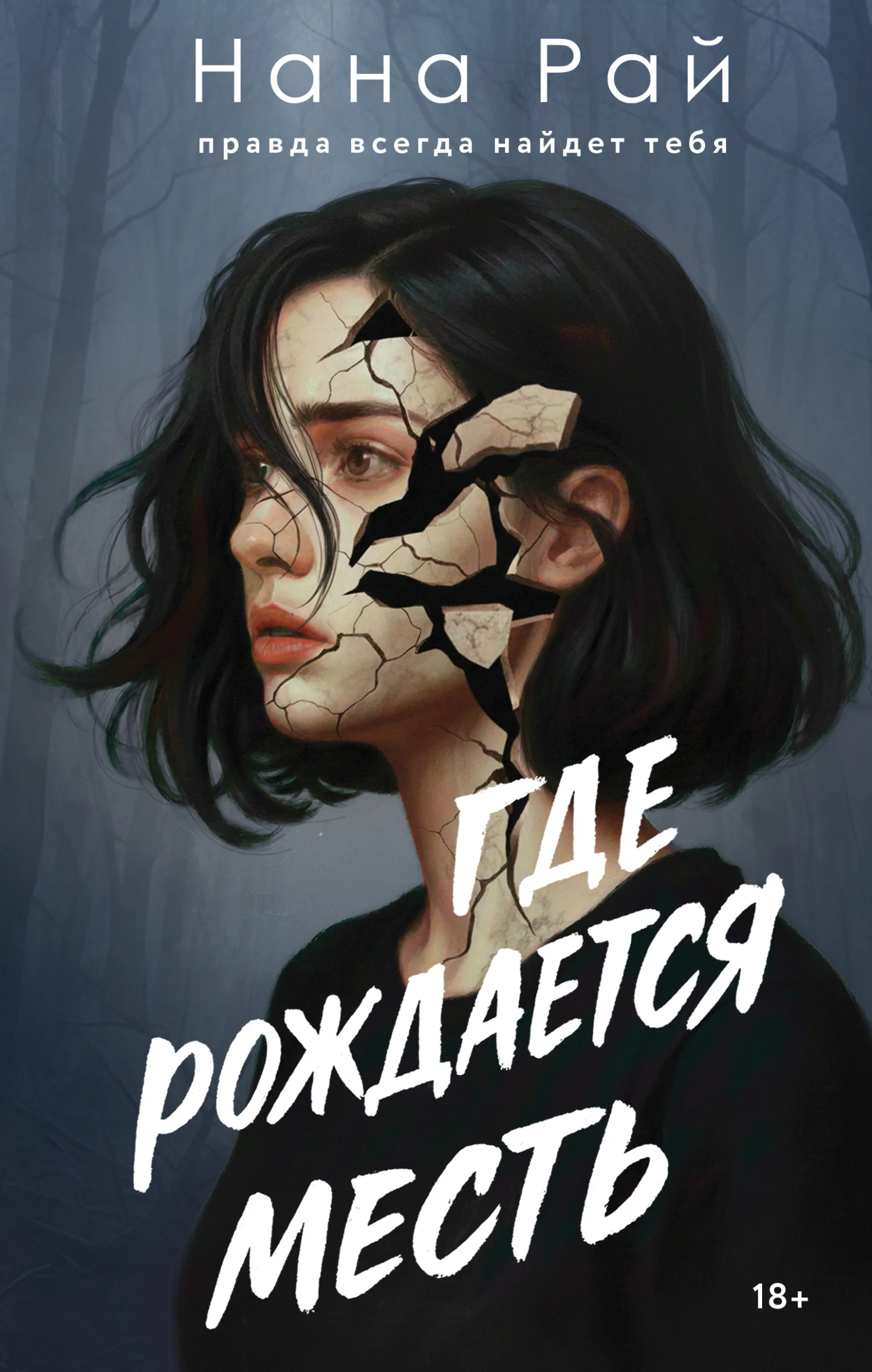 Обложка Где рождается месть
