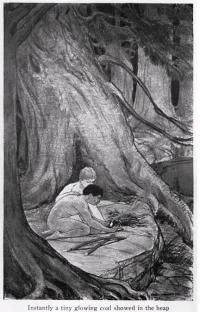 Обложка Скауты в лесах