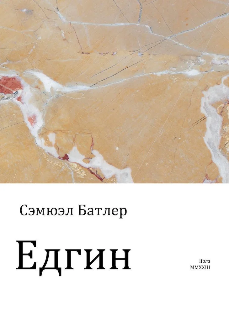 Обложка Едгин, или По ту сторону гор