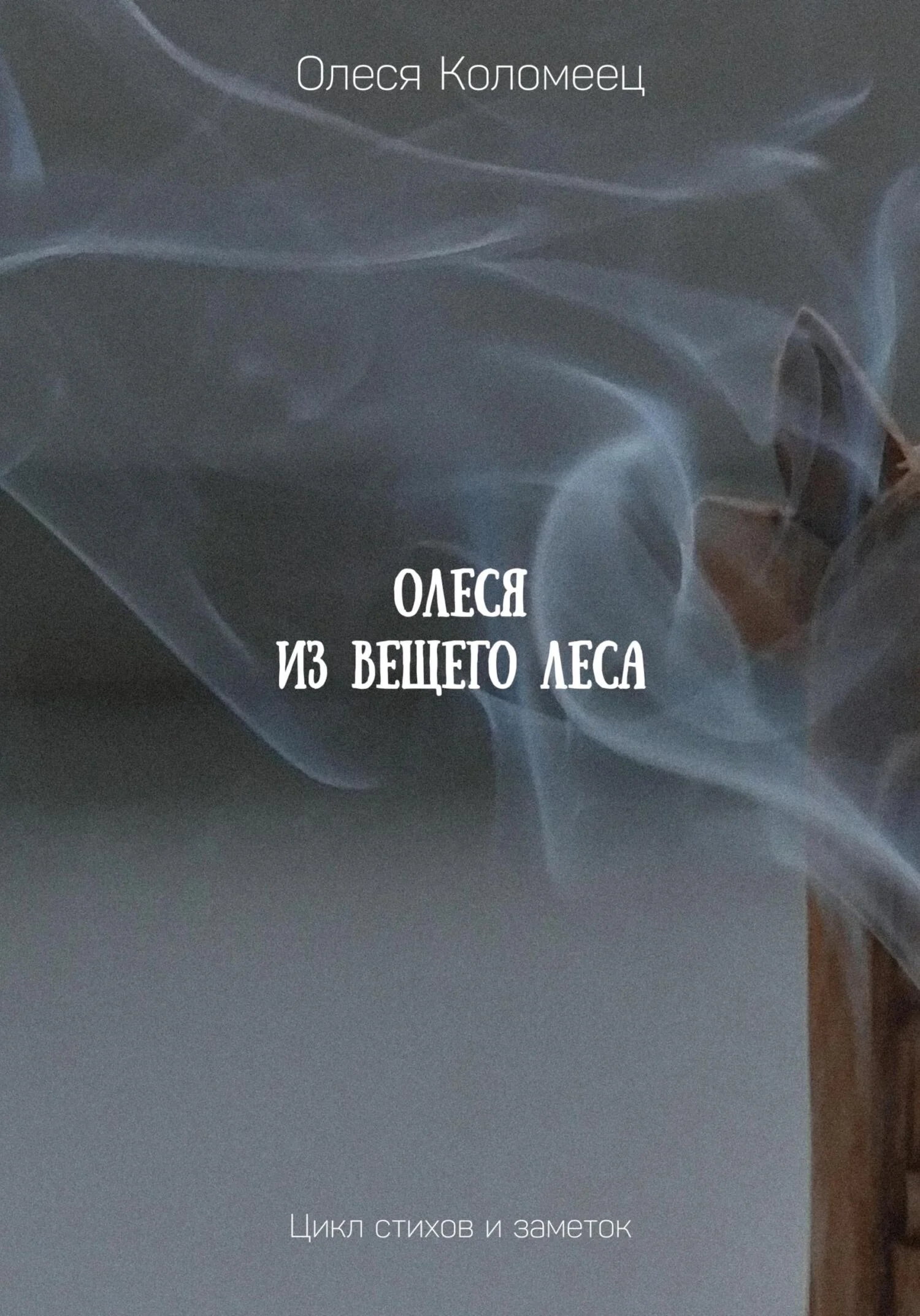 Обложка Олеся из Вещего леса