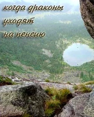 Обложка Когда драконы уходят на пенсию