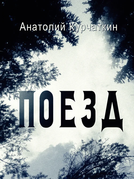 Обложка Поезд