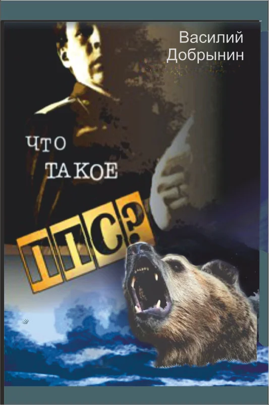 Обложка Что такое ППС?