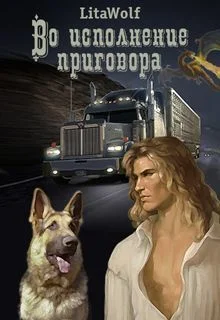 Обложка Во исполнение приговора