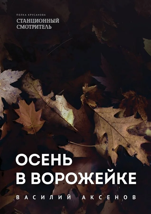 Обложка Осень в Ворожейке