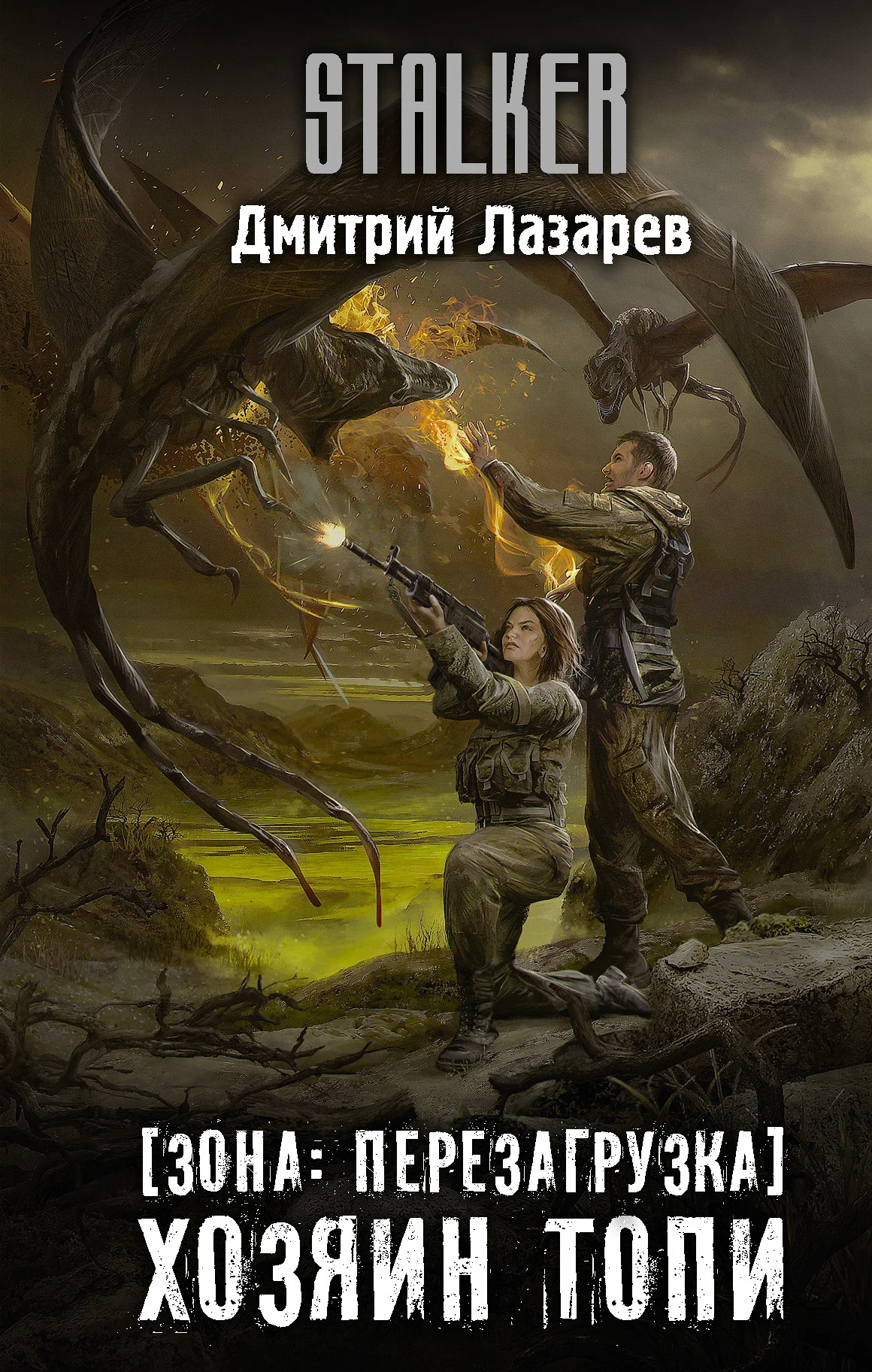 Обложка Хозяин Топи