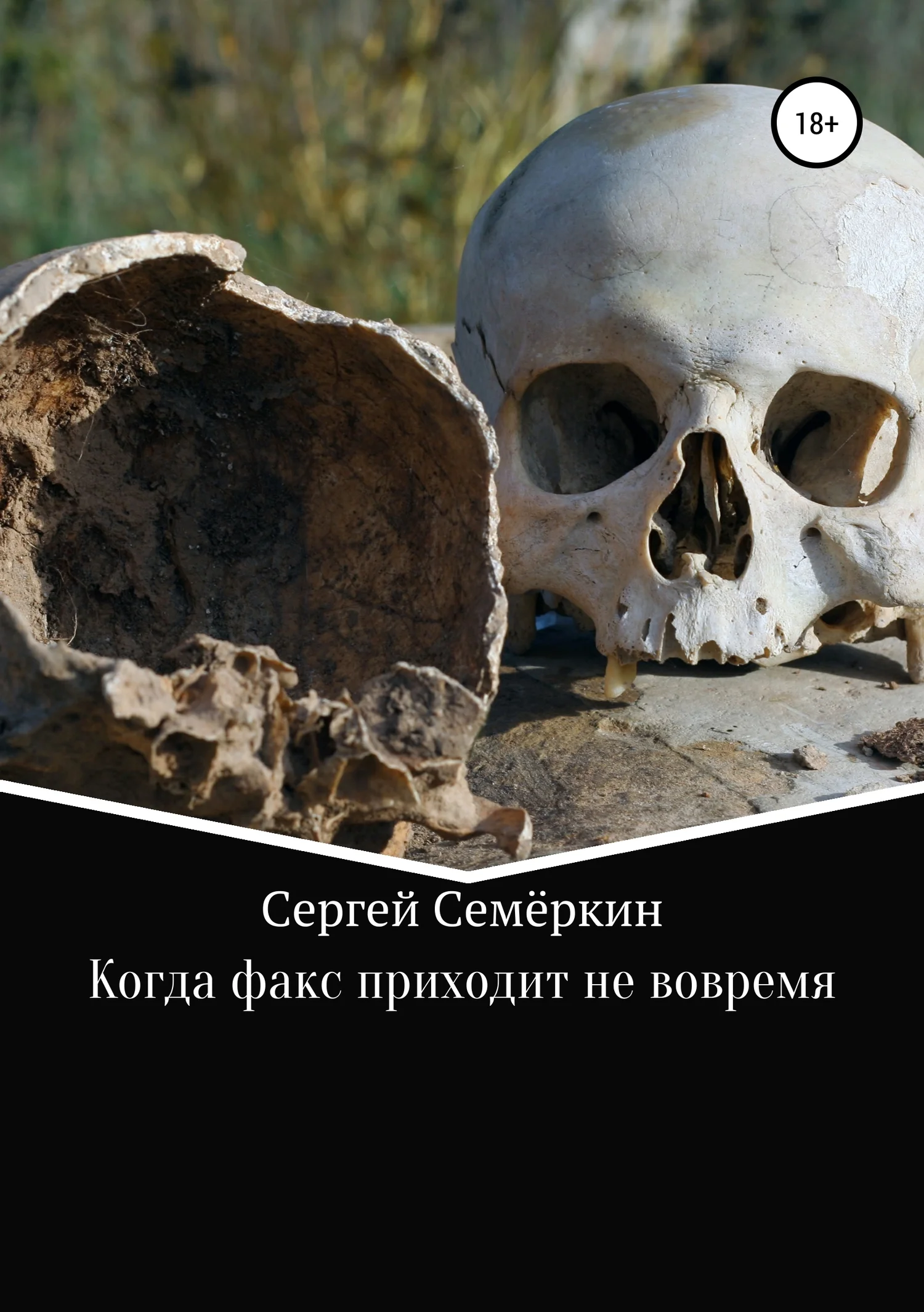 Обложка Когда факс приходит не вовремя