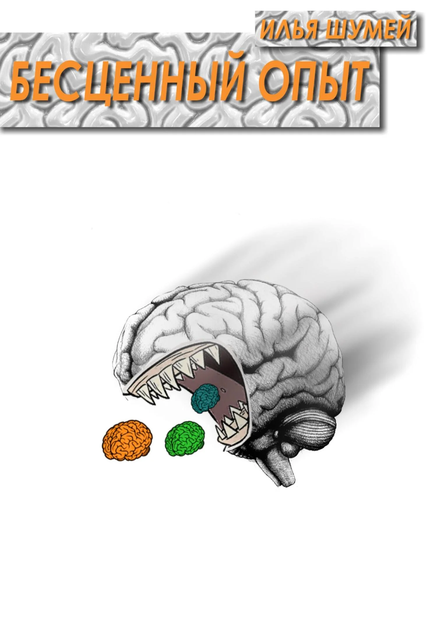 Обложка Бесценный опыт