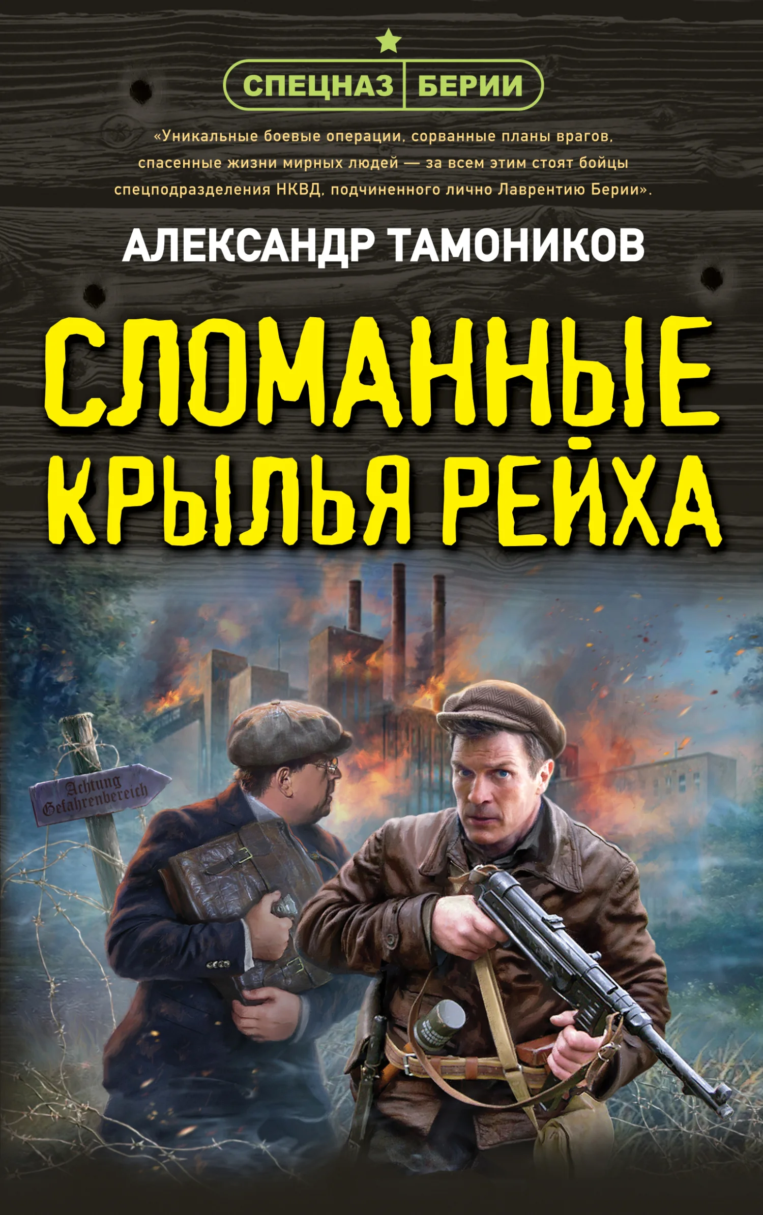 Обложка Сломанные крылья рейха
