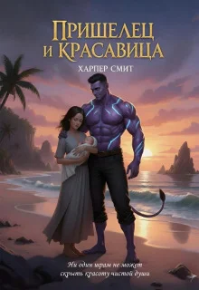 Обложка Пришелец и красавица