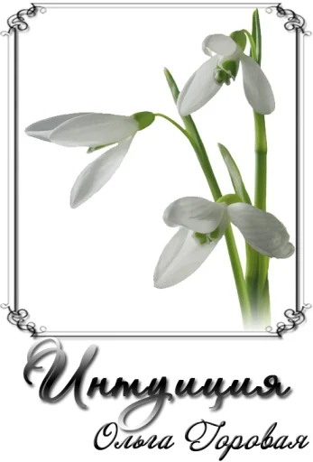 Обложка Интуиция (СИ)