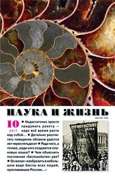 Обложка Элфи