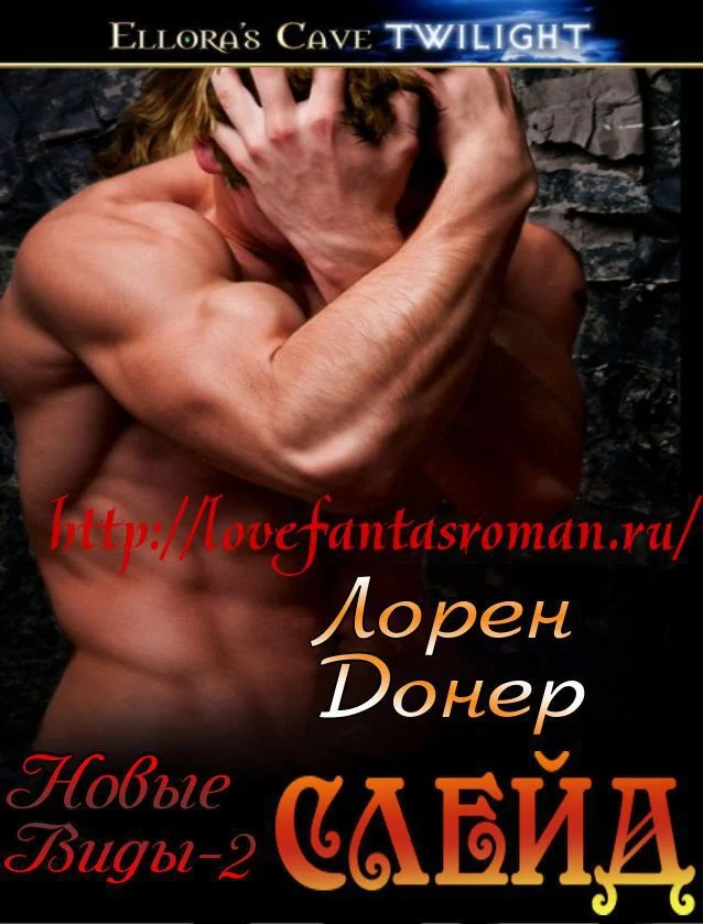 Обложка Слейд