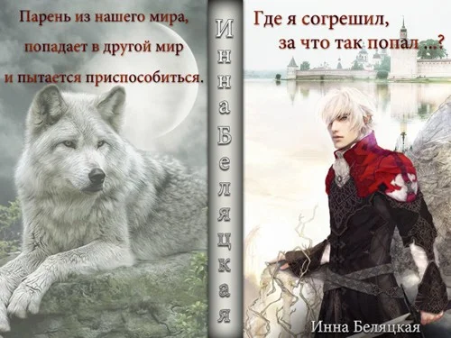 Обложка Где я согрешил, за что так попал? (СИ)