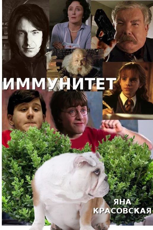 Обложка Иммунитет
