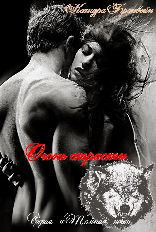 Обложка Огонь страсти