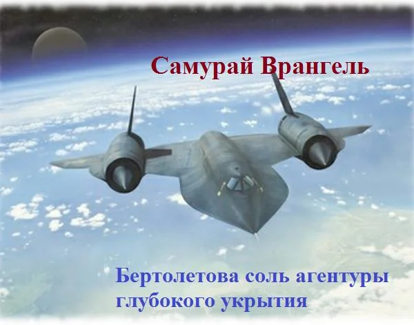 Обложка Бертолетова соль агентуры глубокого укрытия