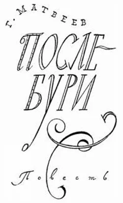 Обложка После бури