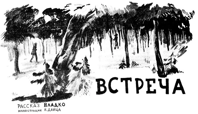 Обложка Встреча