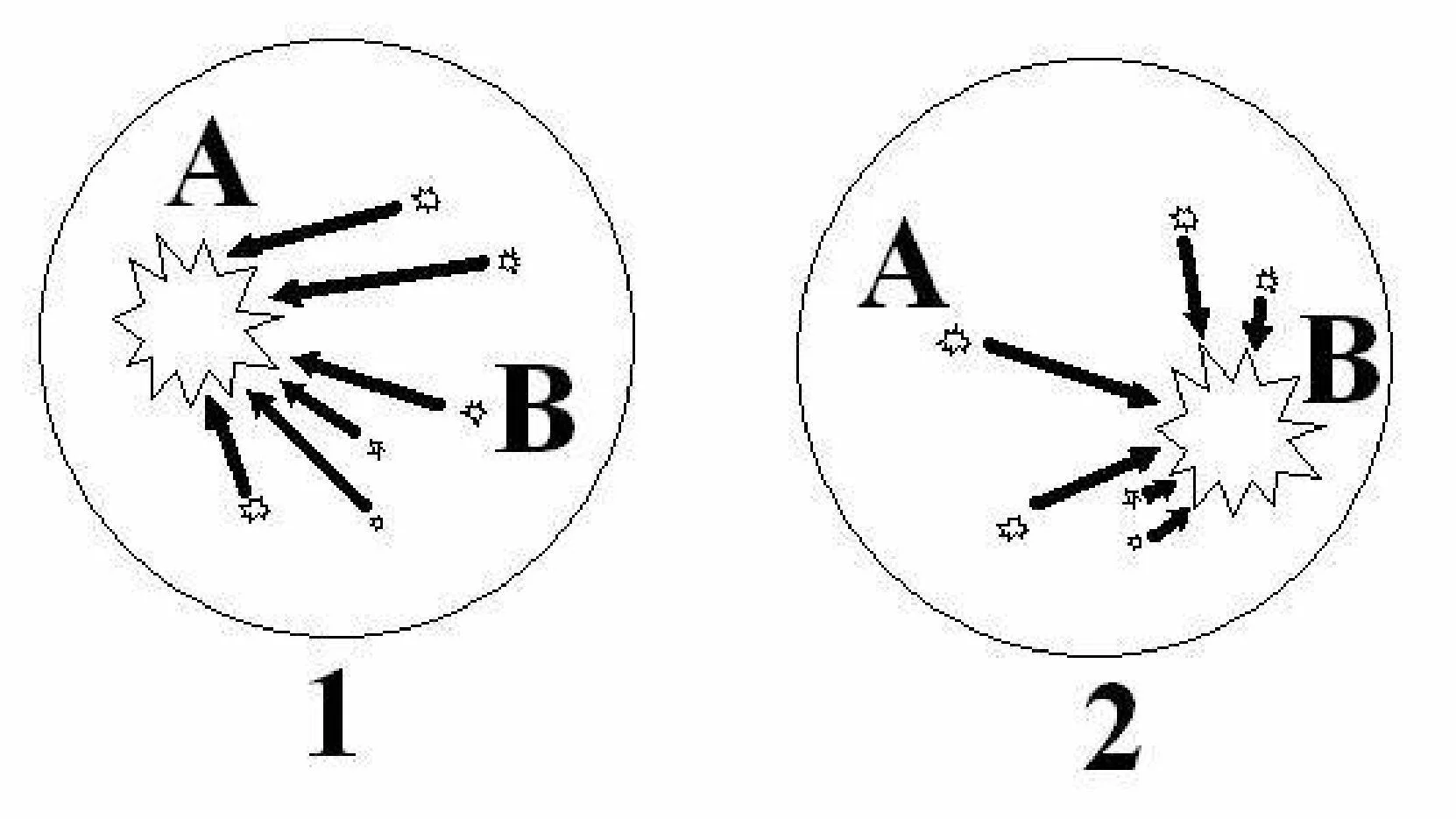 Обложка Магия стройности