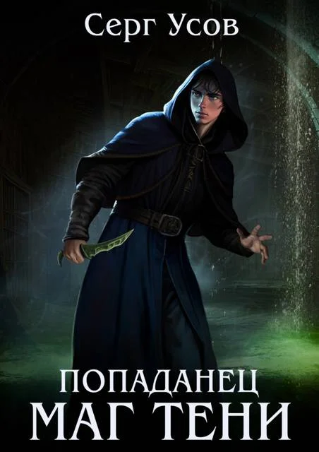 Обложка Попаданец. Маг Тени. Книга 10