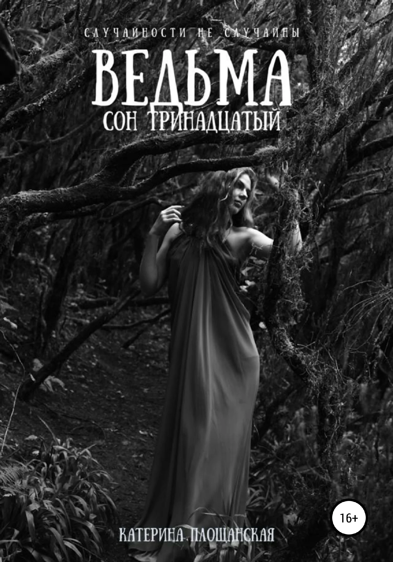 Обложка Ведьма. Сон тринадцатый