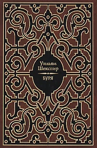 Обложка Буря