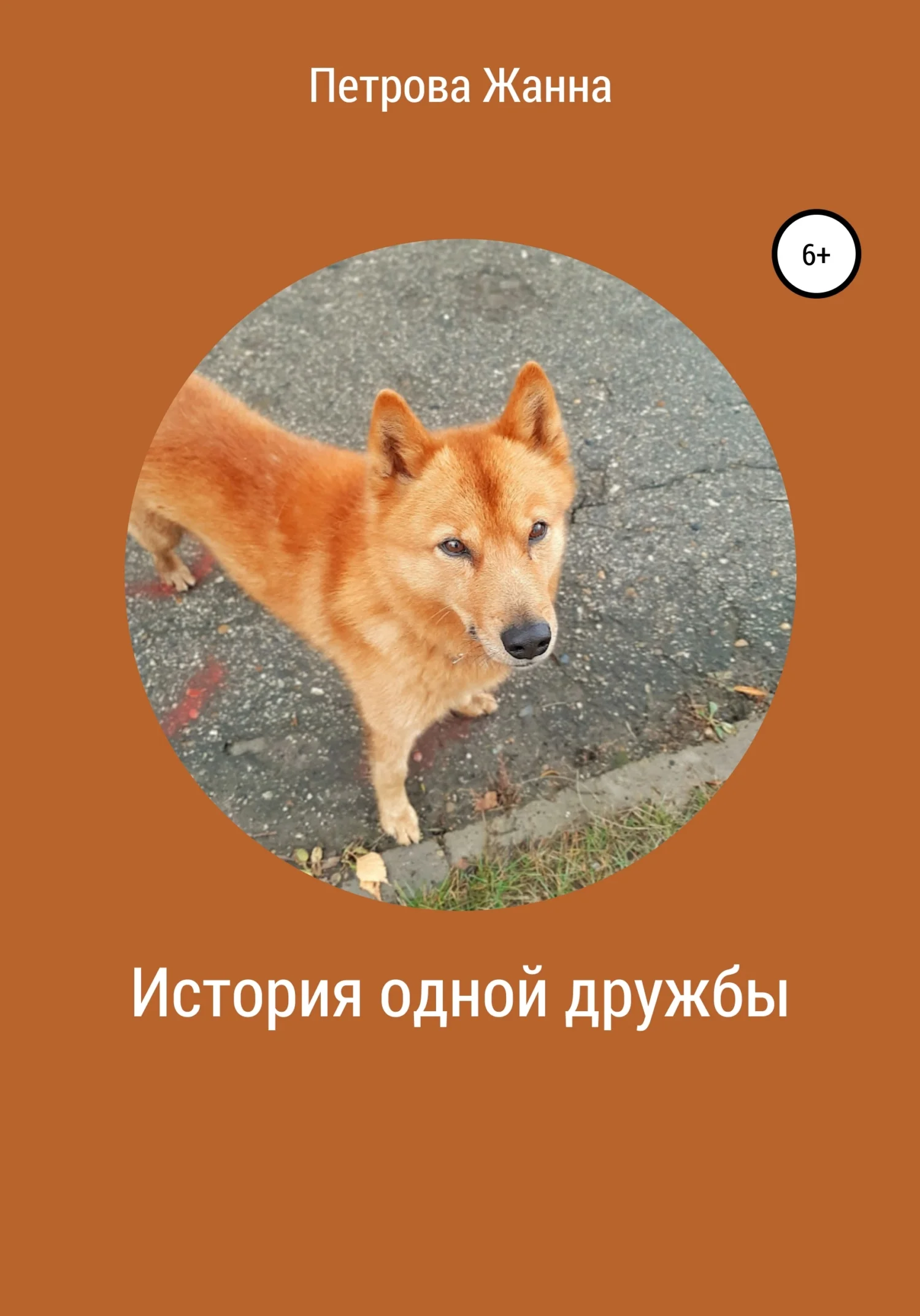 Обложка История одной дружбы