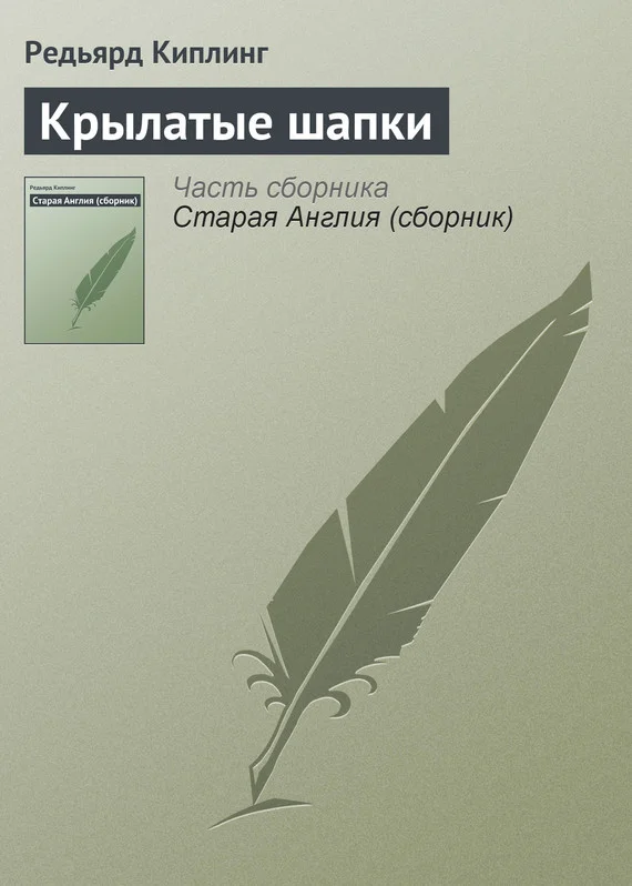 Обложка Крылатые шапки