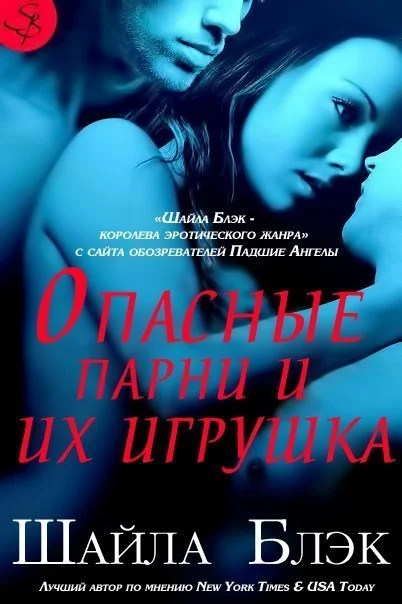 Обложка Опасные парни и их игрушка