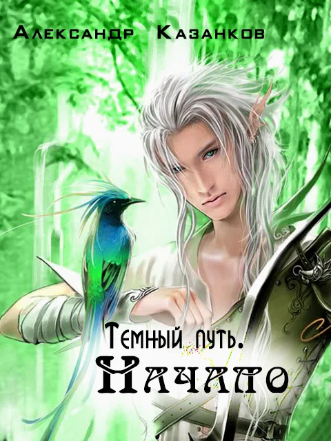 Обложка Темный путь. Начало (СИ)