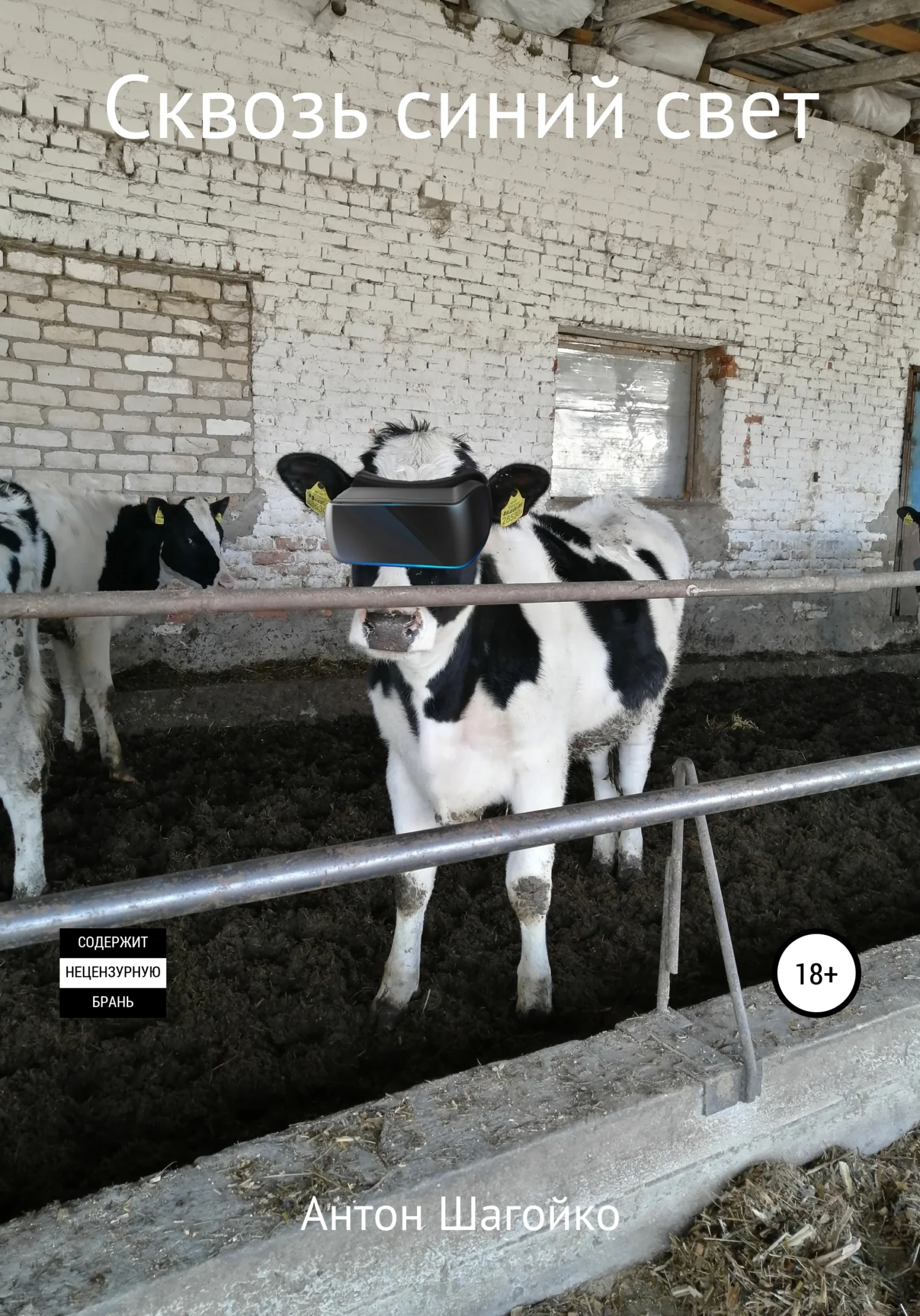 Обложка Сквозь синий свет