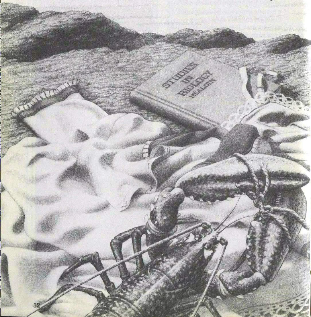 Обложка Тюленьи штаны