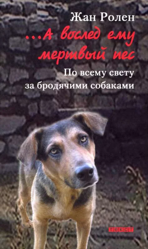 Обложка …А вослед ему мертвый пес: По всему свету за бродячими собаками
