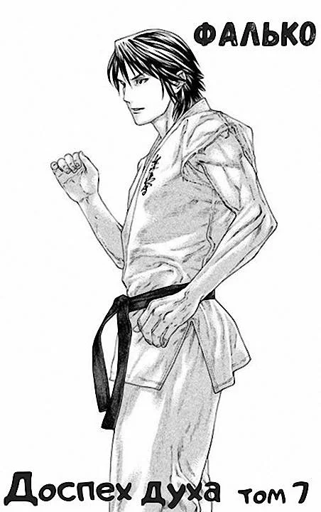 Обложка Доспех духа. Том 7