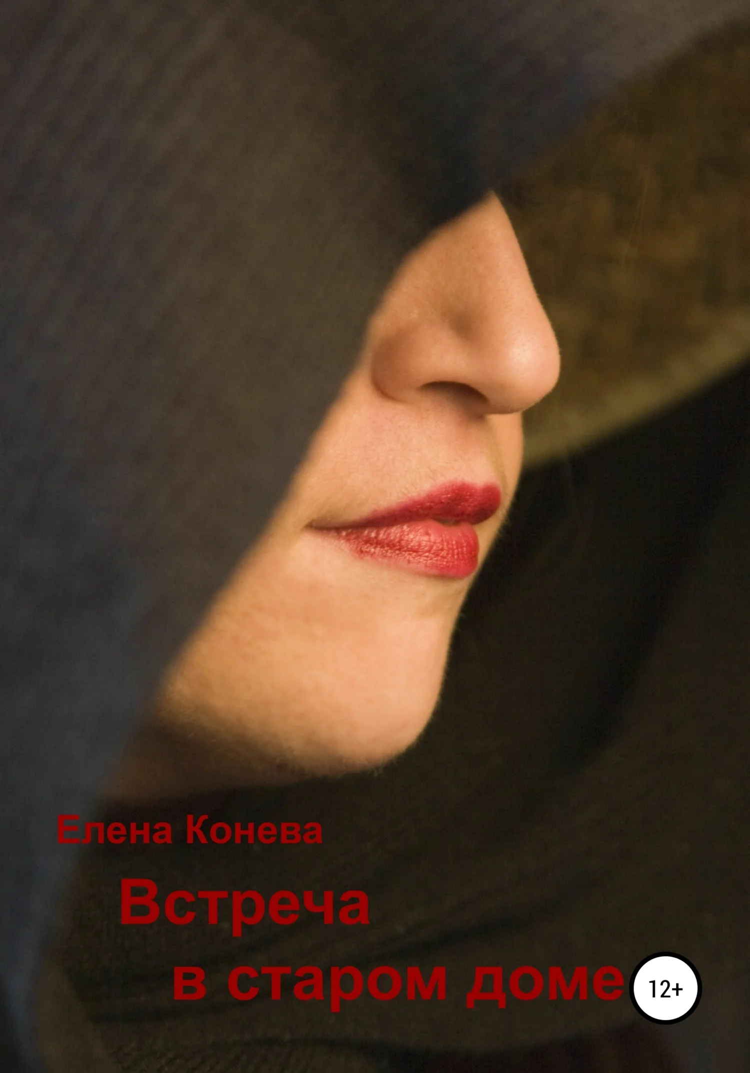 Обложка Встреча в старом доме