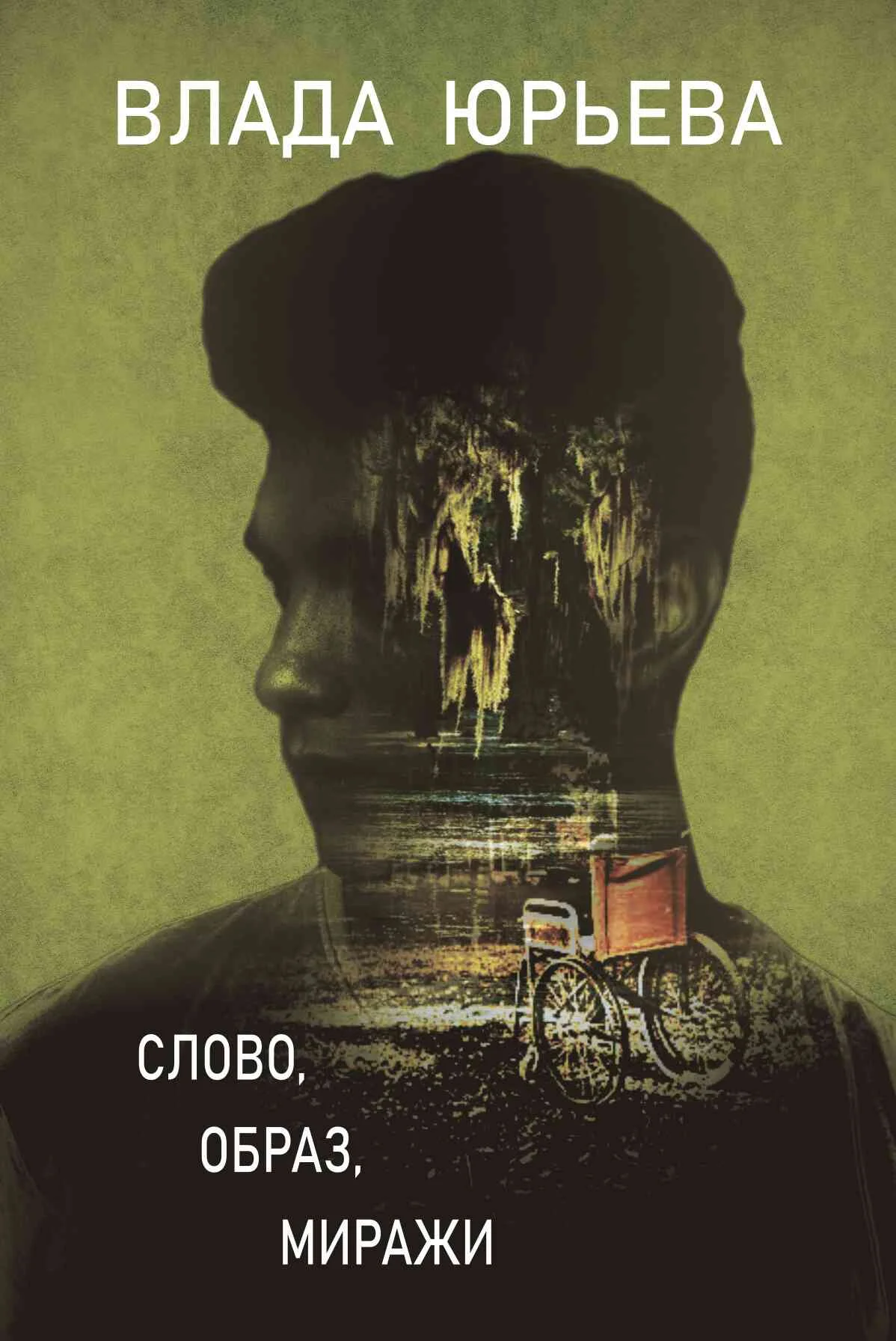 Обложка Слово, образ, миражи